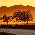 NAMIBIA 2019