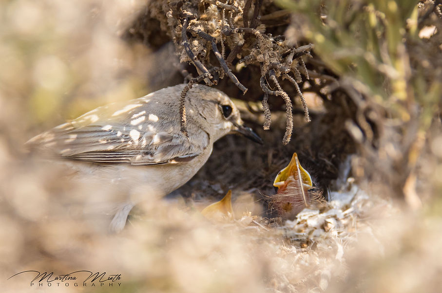 IMG_7112L.jpg