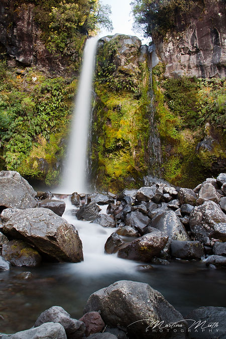Dawson Falls