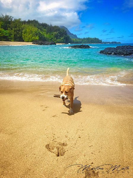 HAWAII 2016