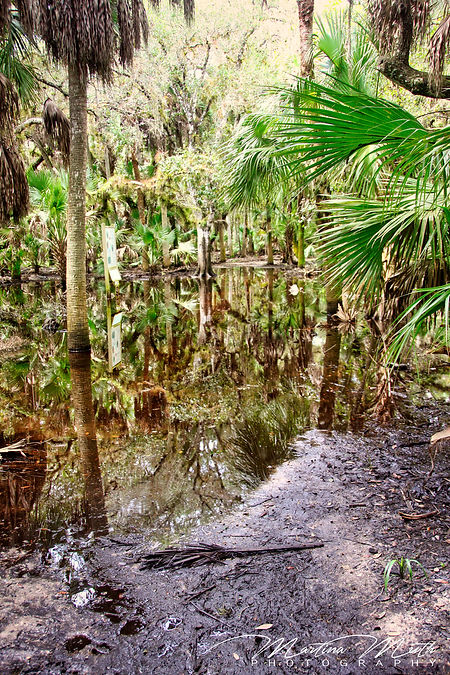 Myakka River State Park