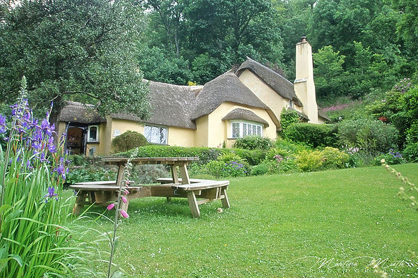 Selworthy
