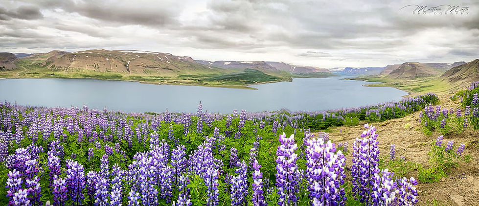 Sandafell Mountain bei Þingeyri